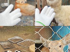 -云漫湖生态度假公园