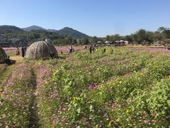 -红山村