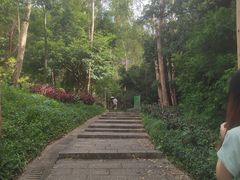 -火炉山森林公园