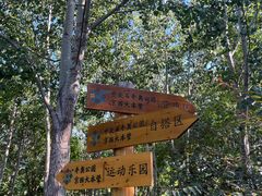 -永定河休闲森林公园