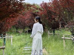 -玉苍山国家森林公园