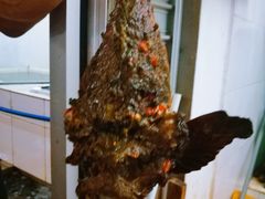 -仙本那渔人码头餐厅
