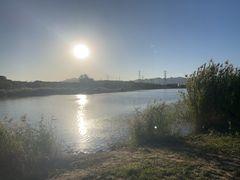 -永定河休闲森林公园