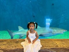 -华夏文旅西安度假区