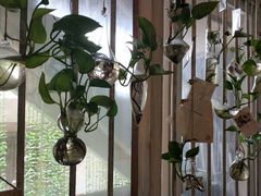 -大王油茶(磁器口店)