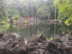 -海口火山口国家地质公园
