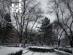 -东华门大街小区