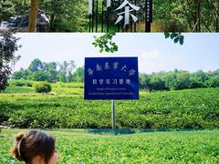 -美的鹭湖森林度假区