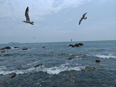 -银沙滩浴场