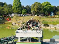 -铁山坪森林公园