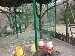 -沂蒙山旅游区云蒙景区(蒙山国家森林公园)
