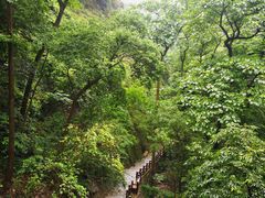 -雁荡山三折瀑景区
