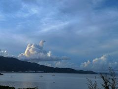 -杨梅坑