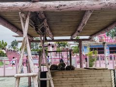 -渔岛海洋度假区