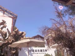 -云里小坐·小院里·团建·宴请·下午茶(三圣乡店)