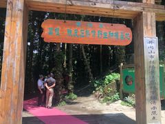 -井冈山风景名胜区-黄洋界