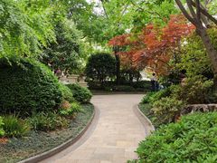 -徐家汇源景区-衡山公园