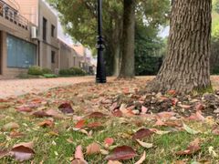 -上海市龙华烈士陵园