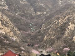 -辛安庄鸡鸣山景区