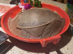 -二荆条·蜀鲜汇城市森林火锅