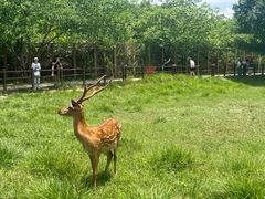 -良渚古城遗址公园