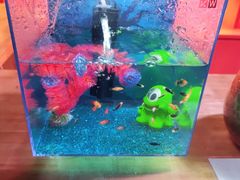 -烟台海昌鲸鲨海洋公园