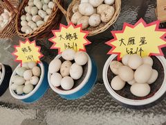 -食家鸽园