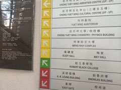 -香港大学