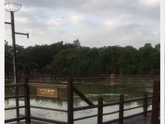 -大湾区中央湿地公园