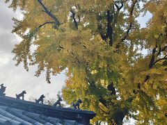 -泰山风景名胜区-普照寺