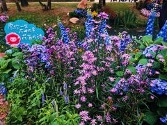 -人民公园(罗湖区)