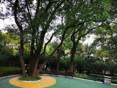 -徐家汇源景区-衡山公园