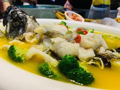 -新悦·霞浦海鲜生(上下杭店)