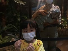 -侏罗纪世界电影特展(广州站)