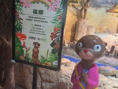 -正佳雨林生态植物园