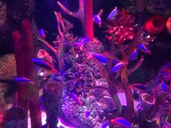 -沈阳海洋探索中心