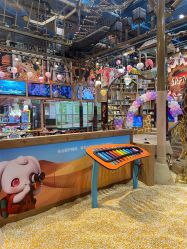 -卡通尼·Safari非洲探索乐园·生日会(金桥国际商业广场店)