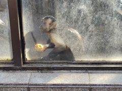 -昆明动物园