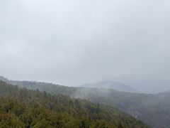 -抱犊崮国家森林公园