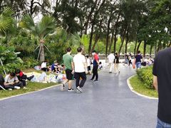 -宝安西湾红树林湿地公园