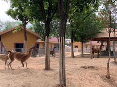 -石家庄市动物园