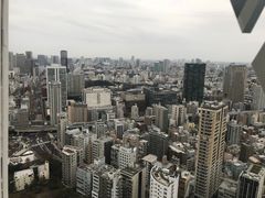 -东京塔海贼王主题公园