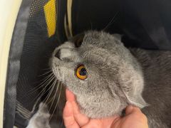 -PETKIT 小佩宠物·低压洗护·美容·寄养(安远店)