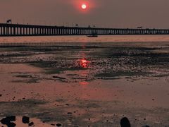 -宝安西湾红树林湿地公园