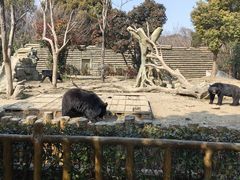 -常州淹城野生动物世界