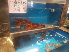 -百富源·海鲜辽菜(和平北大街店)