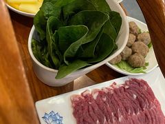 手切鲜羊肉-五悦北平四季涮肉·烧烤(老商埠店)