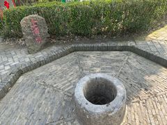 -上海佘山国家森林公园天马山园