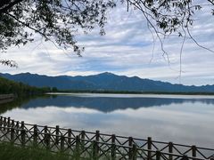 -野鸭湖国家湿地公园