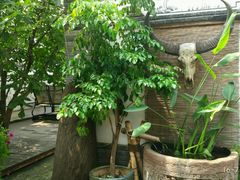 -慢丽江·云南野生菌土鸡锅(西山店)